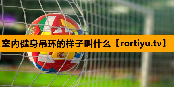 室内健身吊环的样子叫什么