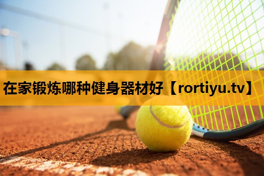 在家锻炼哪种健身器材好
