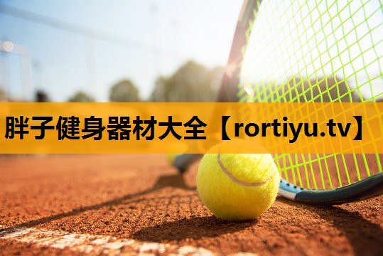 胖子健身器材大全