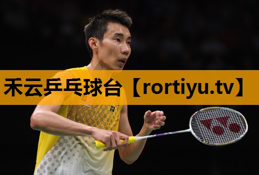 禾云乒乓球台