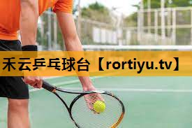 禾云乒乓球台
