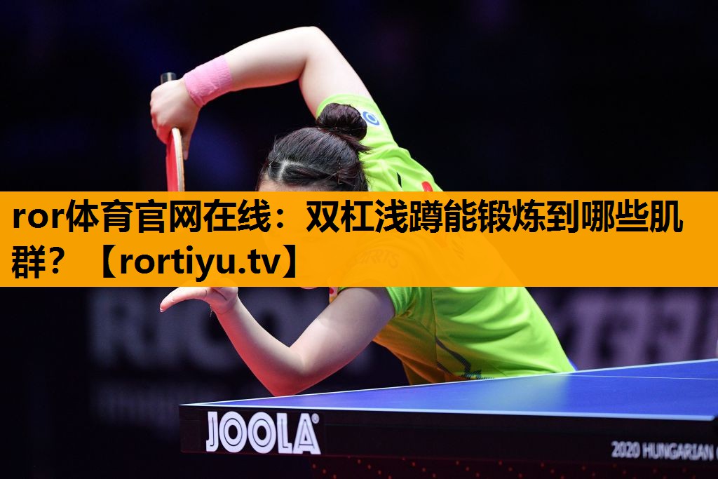 双杠浅蹲能锻炼到哪些肌群？